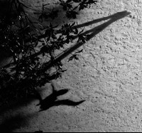 On The Nature Of Daylight