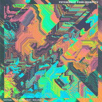 Mr Prism_Psychedelic Porn Crumpets