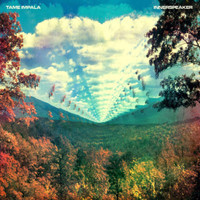 Why Wont You Make Up Your Mind_Tame Impala
