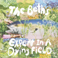 Expert In A Dying Field_The Beths