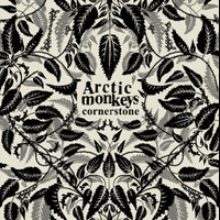 Catapult_Arctic Monkeys