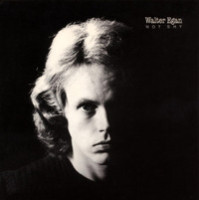 Magnet And Steel_Walter Egan