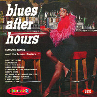 Standing At The Crossroads_Elmore James