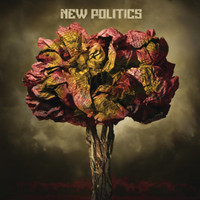 Yeah Yeah Yeah_New Politics