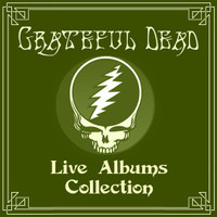 Playing In The Band_Grateful Dead