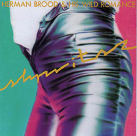 Saturday Night_Herman Brood & His Wild Romance
