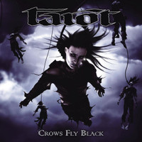 Crows Fly Black_Tarot