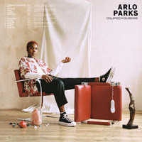 Black Dog_Arlo Parks