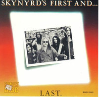 Down South Jukin_Lynyrd Skynyrd
