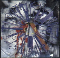 Hepatic Tissue Fermentation Ii_Carcass