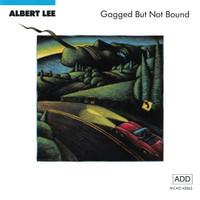 Fun Ranch Boogie_Albert Lee