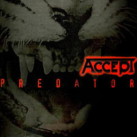 Hard Attack_Accept