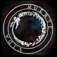 De La Vida Como Película Y Su Tragedia Comedia Y Ficción