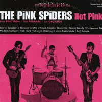 Modern Swinger_The Pink Spiders