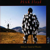 Shine On You Crazy Diamond Part I - V_Pink Floyd