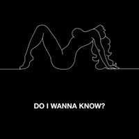 2013_Arctic Monkeys