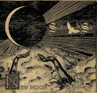 Falling World_Swallow the Sun