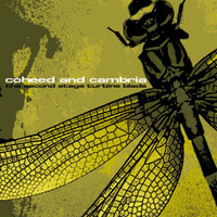 33_Coheed and Cambria