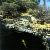 Palm Trees In The Fecking Bahamas_Don Caballero