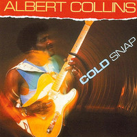 A Good Fool Is Hard To Find_Albert Collins
