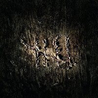 Juoksevan Veden Aika_Timo Rautiainen & Trio Niskalaukaus