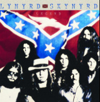 Mr Banker_Lynyrd Skynyrd
