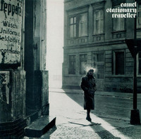 Stationary Traveller_Camel