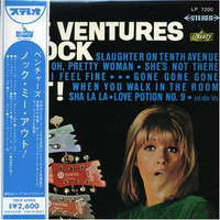 Bird Rockers_The Ventures