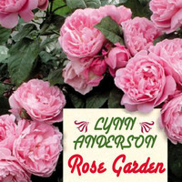 Rose Garden