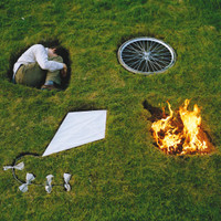 Bees And Butterflies