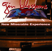 Until I Fall Away_Gin Blossoms