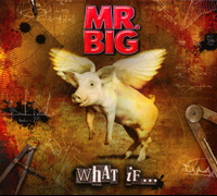 I Wont Get In My Way_Mr. Big