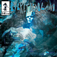 Life Of A Fly_Buckethead