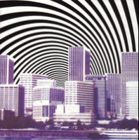 Chrysanthemum_Everclear