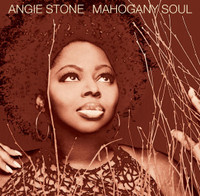 Wish I Didnt Miss You_Angie Stone