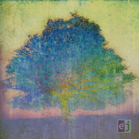 Song For Irene_Eric Johnson