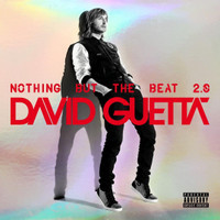 She Wolf Falling To Pieces_David Guetta