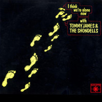 I Think Were Alone Now_Tommy James & the Shondells