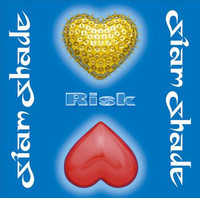 Risk_SIAM SHADE