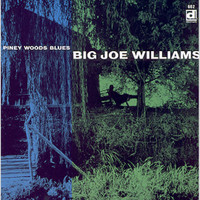 Baby Please Dont Go_Big Joe Williams