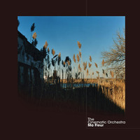 To Build A Home_The Cinematic Orchestra