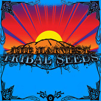Stillness Of The Night_Tribal Seeds