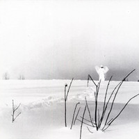 Rajaton Rakkaus_Timo Rautiainen & Trio Niskalaukaus