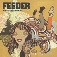 Feeling A Moment_Feeder