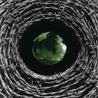 Mantis_Umphrey's McGee