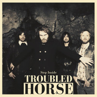 Bring My Horses Home_Troubled Horse