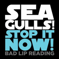Seagulls Stop It Now_Bad Lip Reading