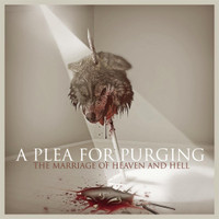 Shiver_A Plea for Purging