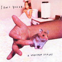 Sunday_Sonic Youth