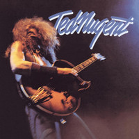 Just What The Doctor Ordered_Ted Nugent
